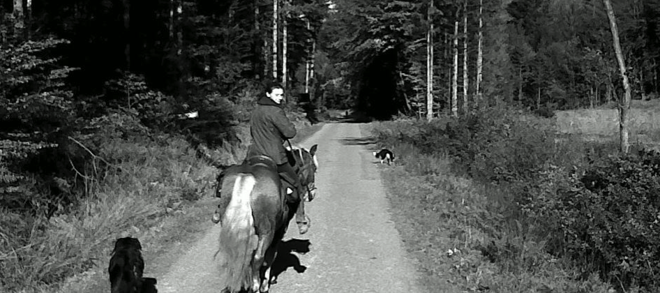 La Ferme du Petit Galop